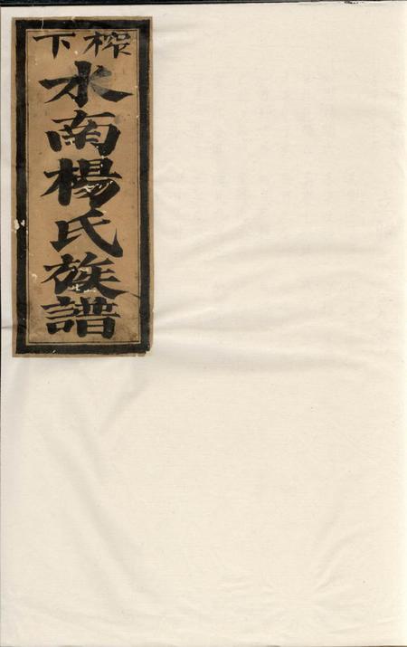 榨下水南杨氏族谱不分卷