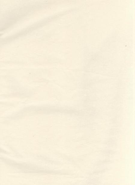 《吴宁吴宁厉氏宗谱》封面