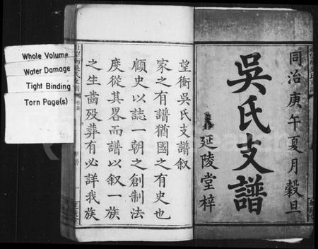 湖南吴氏族谱-(上湘望冲)吴氏支谱 [8卷].pdf电子版预览图2