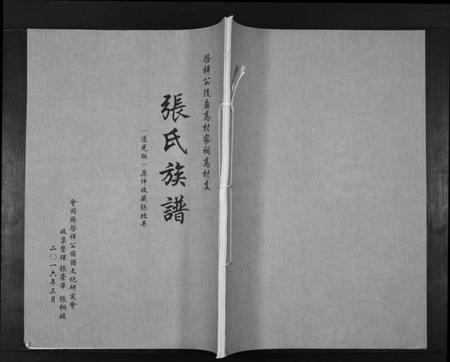 湖南张氏族谱-张氏族谱. 啓祥公後裔 高村家祠高村支.pdf电子版