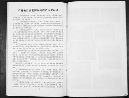湖南张氏族谱-张氏族谱. 啓祥公後裔 高村家祠高村支.pdf电子版预览图4