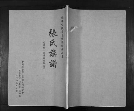 湖南张氏族谱-张氏族谱. 啓祥公后裔毛田家祠祥二支.pdf电子版