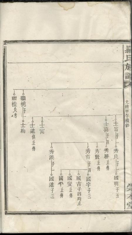 崇本堂罗氏族谱.pdf电子版下载预览图5