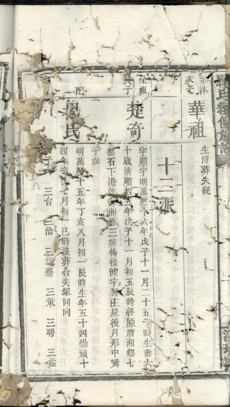 湘琳堂罗氏续修族谱.pdf电子版下载预览图5
