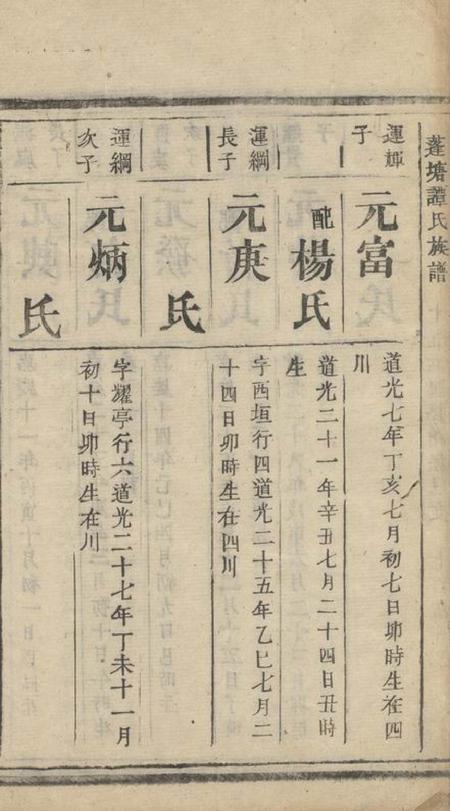 常宁蓬塘谭氏族谱不分卷.pdf电子版下载预览图4