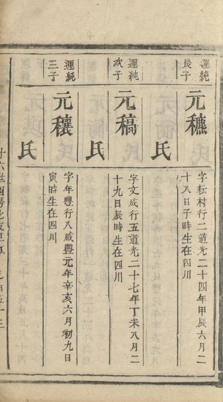 常宁蓬塘谭氏族谱不分卷.pdf电子版下载预览图5