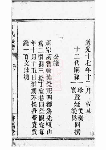 巴陵济阳堂丁氏族谱.pdf电子版下载预览图5