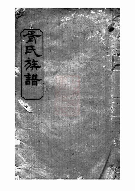 《湘阴眘琊堂胥氏族谱》封面