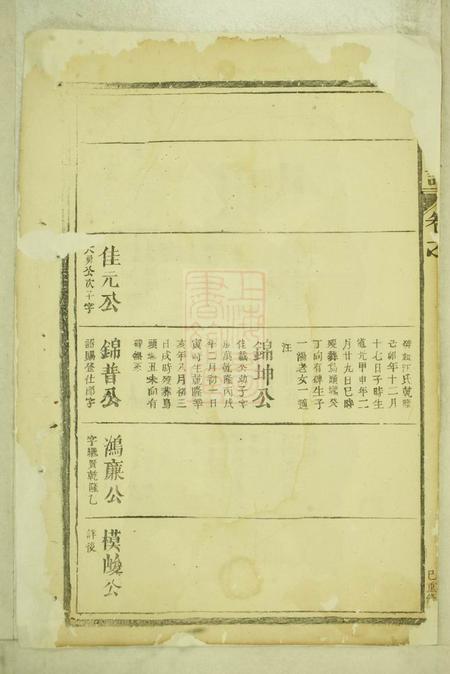 袁氏宗谱.pdf电子版下载预览图2