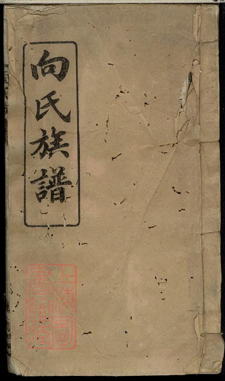 《湖南大耐堂向氏族谱》封面