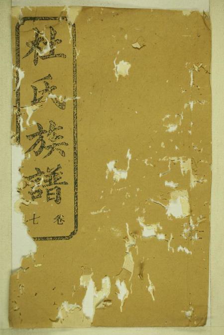 桃源宝田堂杜氏族谱