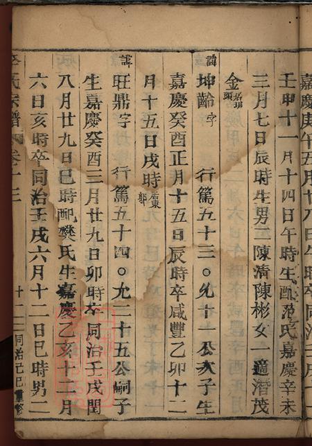 浙江李氏宗谱.pdf电子版下载预览图5