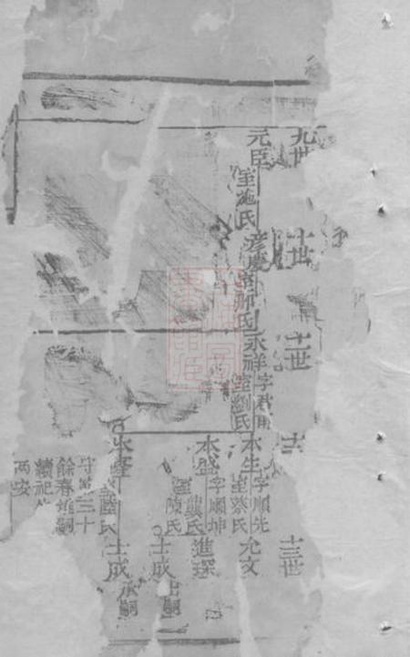崇明李氏宗谱不分卷.pdf电子版下载预览图2