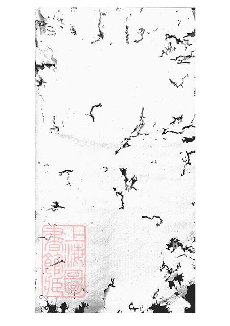 湖南新化李氏族谱不分卷.pdf电子版下载