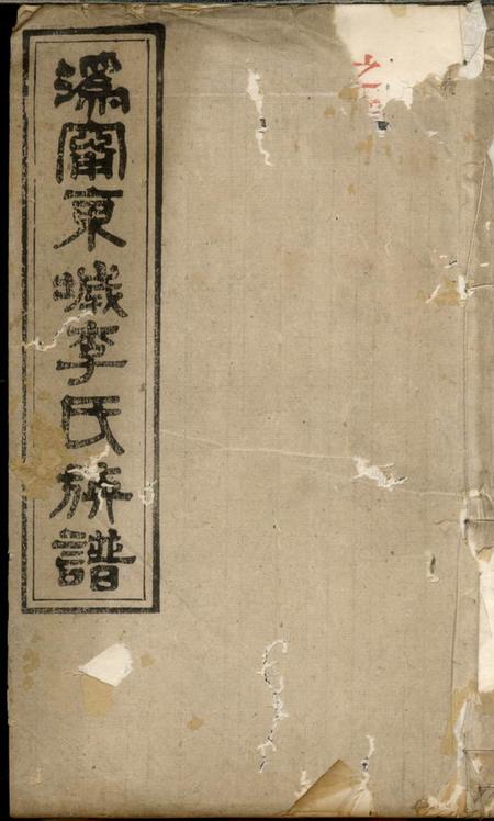 宁乡陇西堂沩宁东城李氏族谱