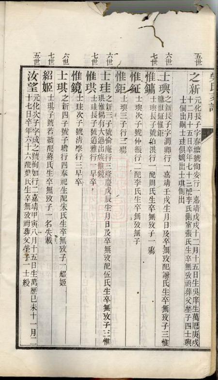 吴县洞泾吴氏支谱不分卷.pdf电子版下载预览图3
