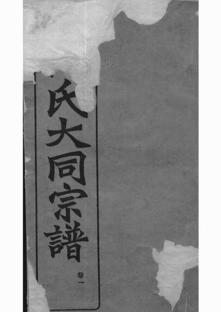 庐江庐江郡何氏大同宗谱二十六卷.pdf电子版下载预览图1
