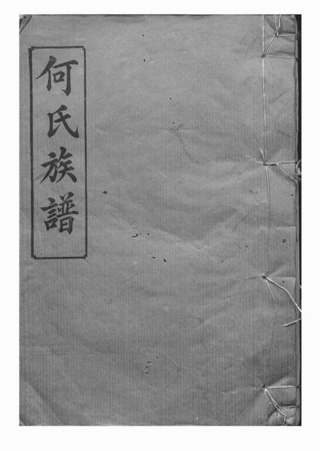 岳阳庐江堂岳阳坪桥河何氏族谱十卷