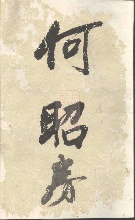 浦阳球山义门何氏宗谱.pdf电子版下载预览图2