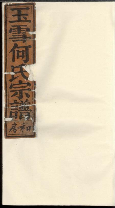 丽水清源何氏玉雪宗谱不分卷.pdf电子版下载