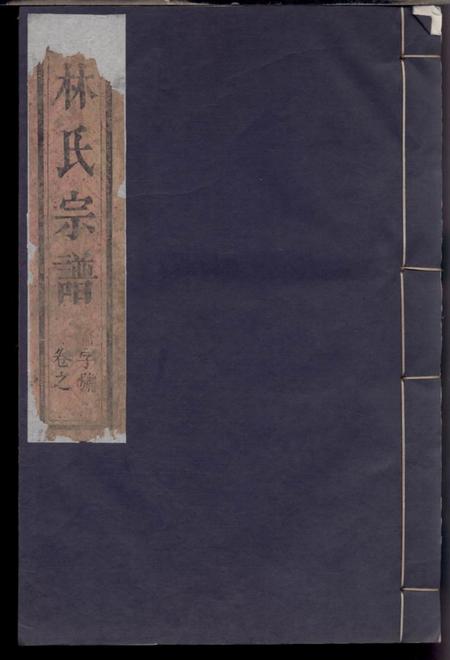 温州济南郡林氏宗谱不分卷