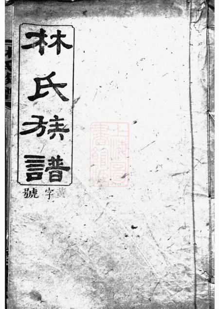 浏阳忠孝堂林氏族谱三十一卷.pdf电子版下载
