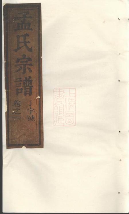 《松阳栝松黉源孟氏宗谱十三卷》封面