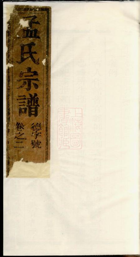 《松阳栝松黉源孟氏宗谱》封面