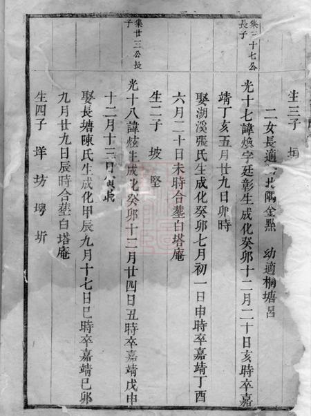 东阳东南湖胡氏宗谱.pdf电子版下载预览图2