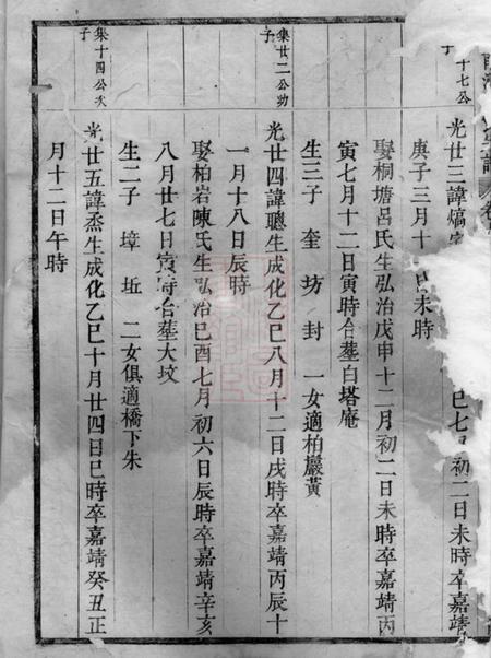 东阳东南湖胡氏宗谱.pdf电子版下载预览图4