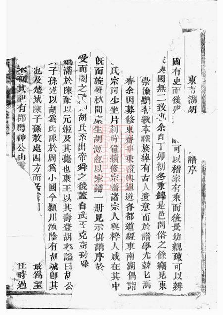 东阳东南湖胡氏宗谱十五卷.pdf电子版下载预览图1