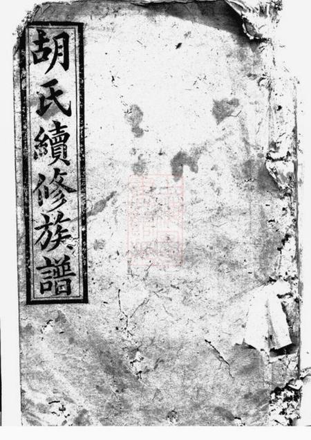 湘阴安定堂胡氏续修族谱.pdf电子版下载