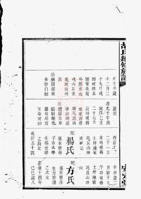 湘阴安定堂胡氏续修族谱.pdf电子版下载预览图3
