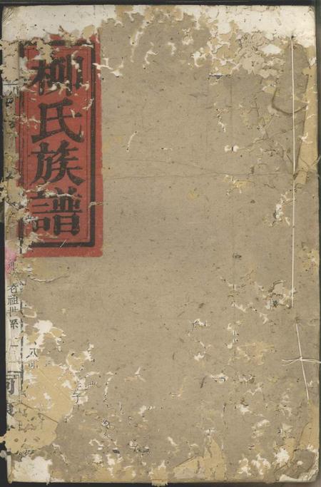 《河东堂柳氏族谱不分卷》封面