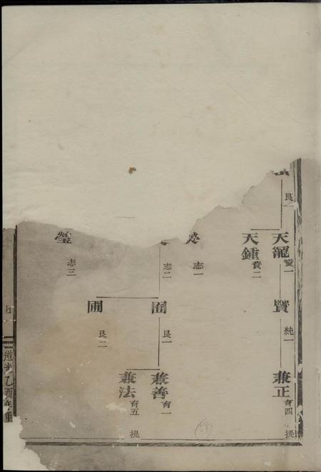 金华华峰施氏重修宗谱.pdf电子版下载预览图1