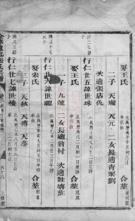 金华金华莲池张氏宗谱.pdf电子版下载预览图3