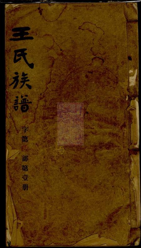 湖南安化王氏族谱九卷