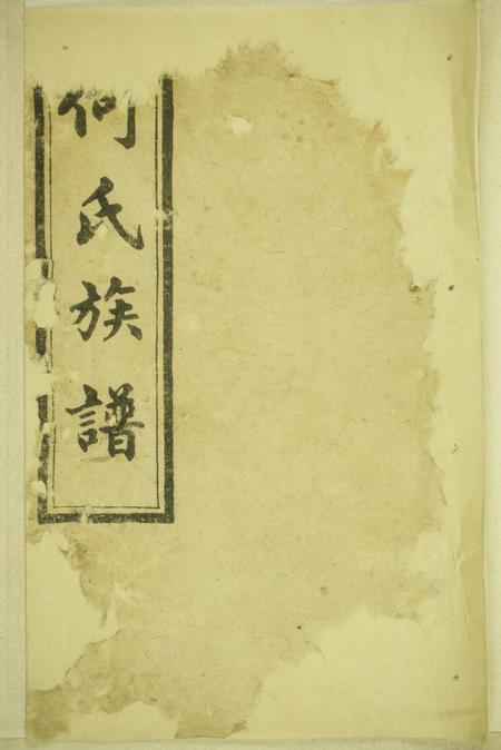 《湖南长沙庐江堂何氏族谱十二卷》封面