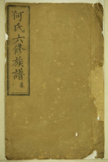 《湖南益阳庐江堂楚南何氏六修族谱二十六卷首八卷》封面