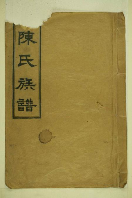 湖南汉寿德星堂陈氏族谱二十卷首一卷(残损)
