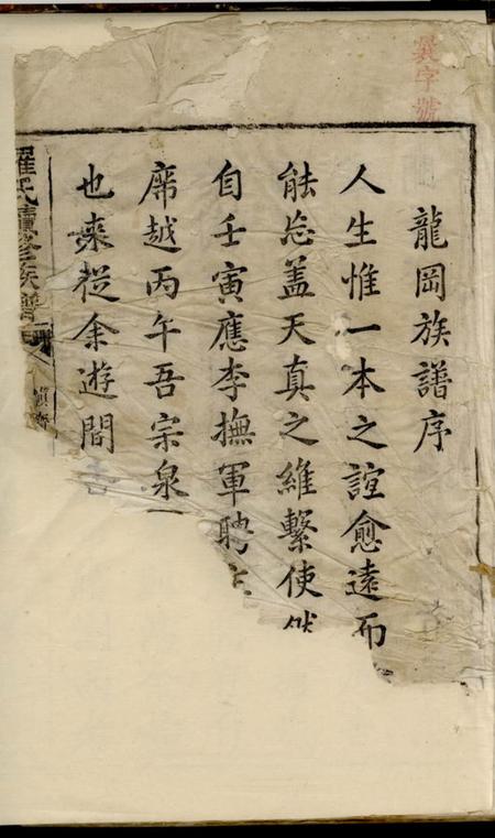 湖南浏阳龙岗堂龙岗罗氏续修族谱.pdf电子版下载预览图1