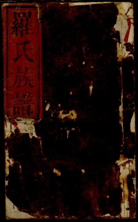 《江西、湖南豫章堂罗氏族谱》封面