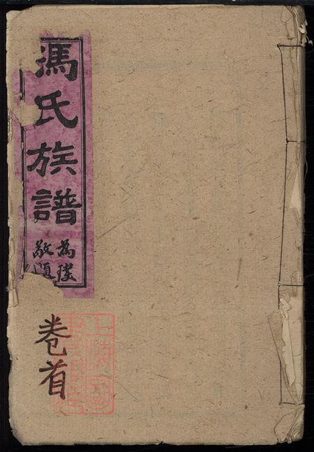 《湖南桃源大樹堂馮氏族譜十卷首一卷》封面