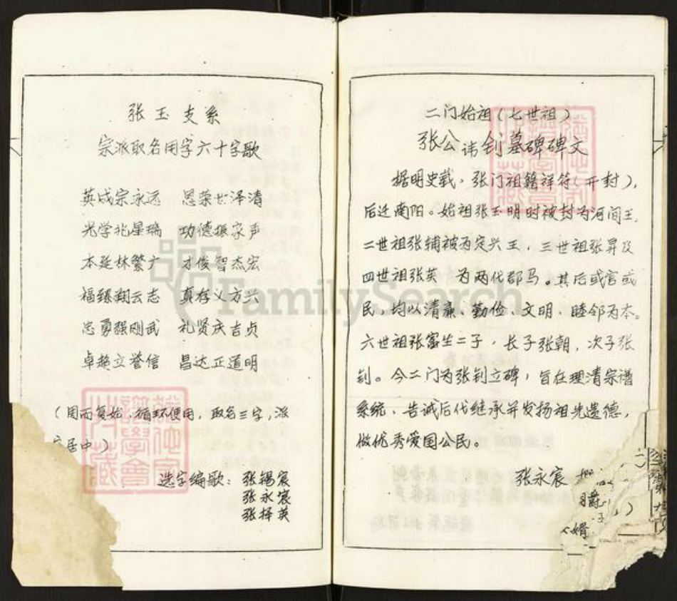 河南省南阳市张氏族谱-张氏宗谱.pdf电子版预览图3