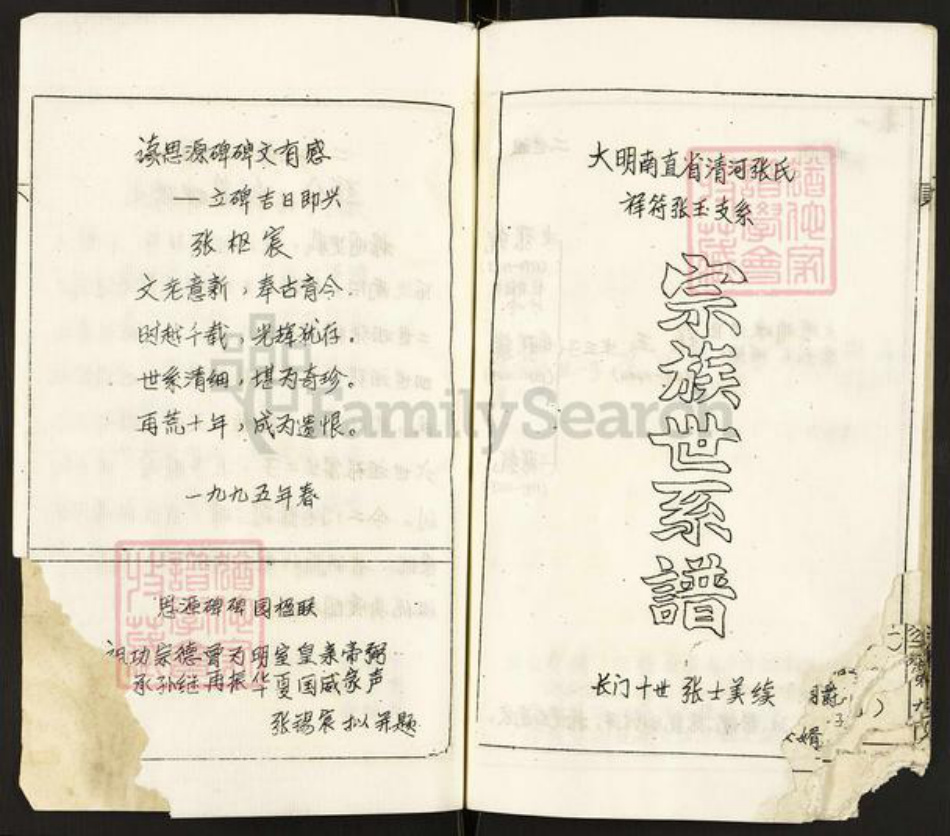 河南省南阳市张氏族谱-张氏宗谱.pdf电子版预览图4