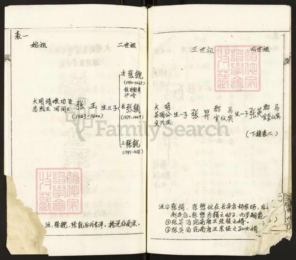 河南省南阳市张氏族谱-张氏宗谱.pdf电子版预览图5