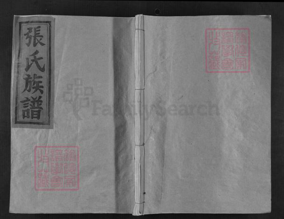 江西省赣州市宁都县黄陂镇江西省赣州市宁都县张；张氏族谱-张氏族谱.pdf电子版缩略图