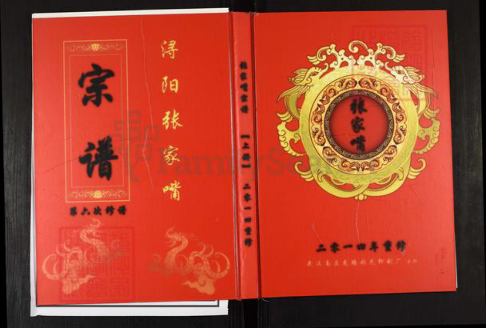 江西省九江市九江张；张氏族谱-浔阳张家嘴宗谱.pdf电子版缩略图